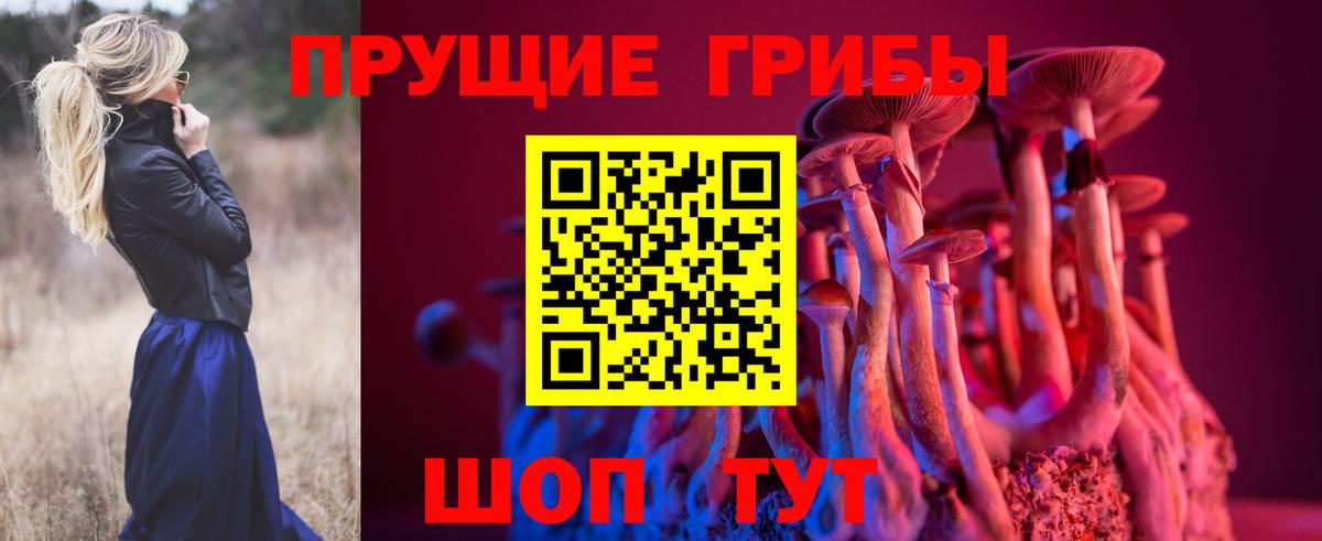 Псилоцибиновые грибы Psilocybe  Вход с VPN  Псилоцибиновые грибы Psilocybine cubensis  хочу   Ступино 